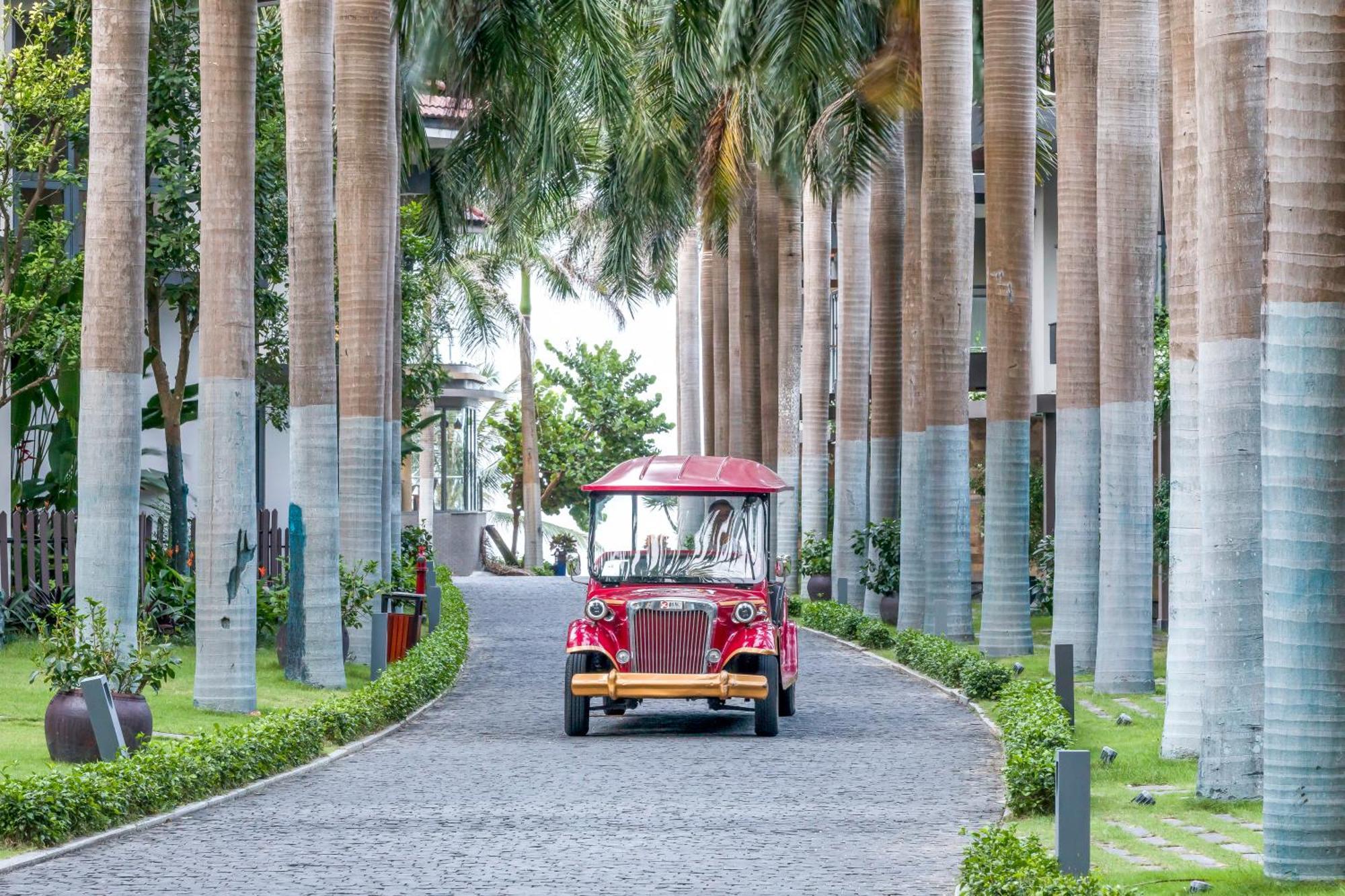 Koi & Da Nang